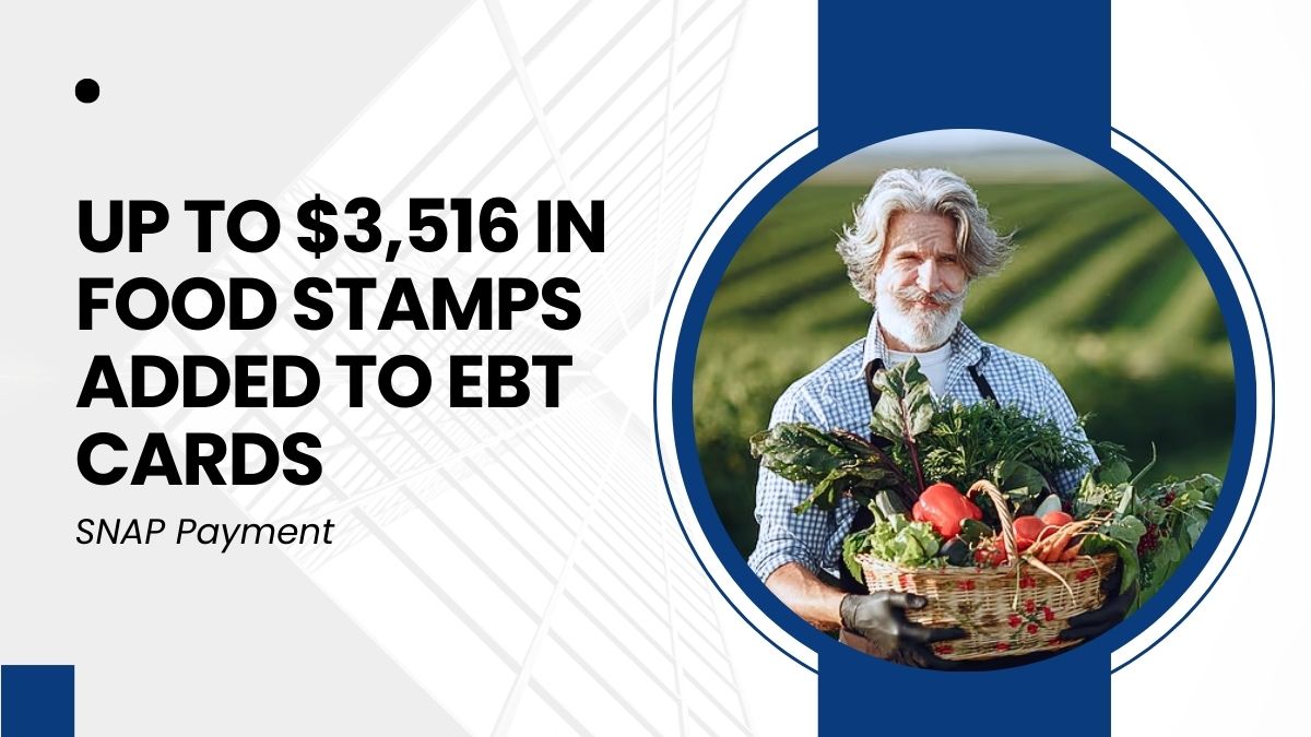 SNAP Payment - Up to $3,516 in Food Stamps Added to EBT Cards with 2025 COLA Adjustment