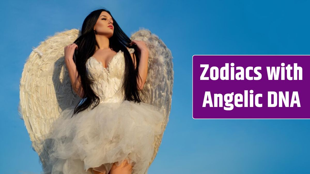 Sensual woman in angel costume white dress and feather wings on sky background panoramic banner wide.